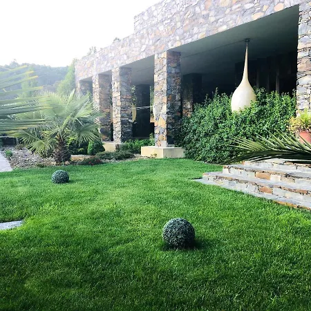 6 Bedrooms Mansion With Jacuzzi Enclosed Garden And Wifi At * Sertã